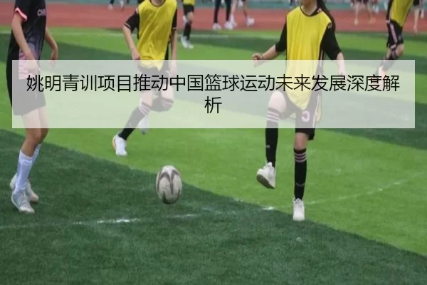 姚明青训项目推动中国篮球运动未来发展深度解析